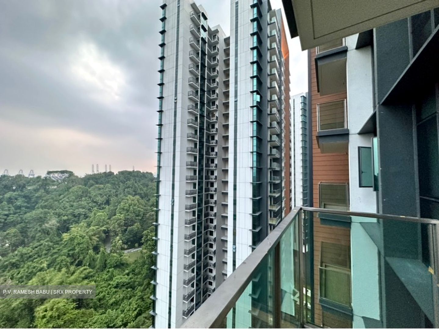 Normanton Park (D5), Apartment #602267131